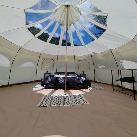 Отель Luna Rock Glamping Brezoi - Blue Scai Экстерьер фото